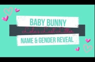 Baby bunny Gender & Name reveal || Lola's Last Litter