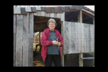 4 and 6 week old new zealand baby bunnies
