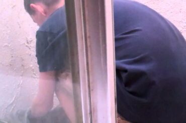 SAVING A BABY BUNNY!