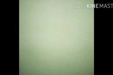 How to make origami cute rabbit