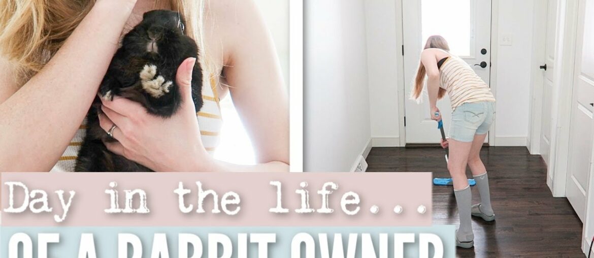 DAY IN THE LIFE – As a Rabbit Owner DAY IN THE LIFE - As a Rabbit Owner