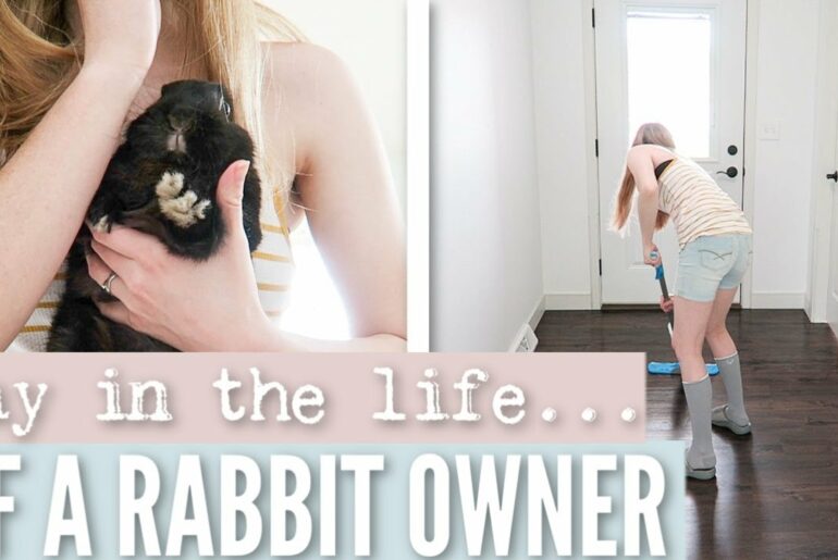 DAY IN THE LIFE - As a Rabbit Owner