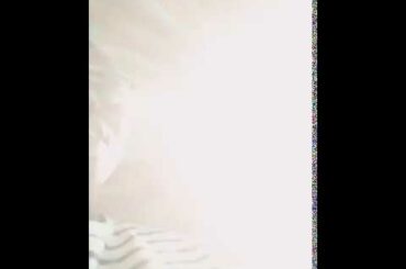 Cute Bunny  funny bunny. Covid 19 2020  bunny