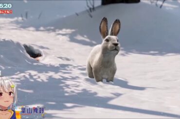 【Hayama Marin】What a cute rabbit【Nijisanji】