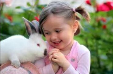 Rabbit lovers | Babies and rabbits | Rabbit Cute | Conejo lindo | 兔子可爱 | かわいいウサギ