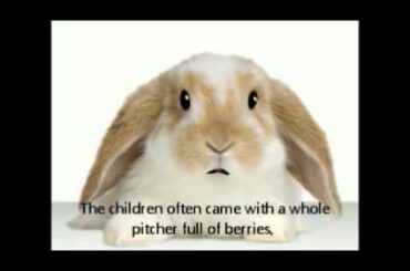 Cute bunny reading a story! The Fir Tree