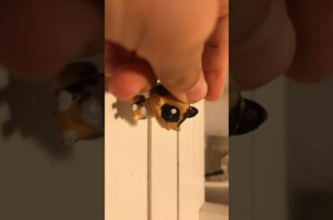 Dezabonativa de la Pink cute bunny 😈