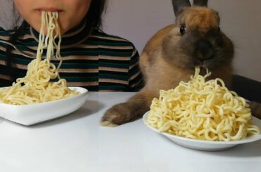 Rabbit Eating Noodle ASMR with Owner | Bunny vs. Girl Noodle Challenge