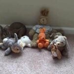 Cute Bunny Rabbit Tries To Hide In Stuffed Animals
