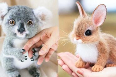 Animals SOO Cute! Cute baby animals Videos Compilation cutest moment of the animals #1