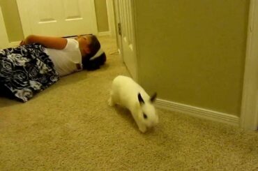 Best Friends! Bunny and Me Playtime