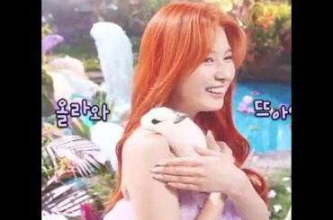Cute sana with baby bunny❤️