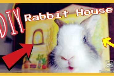 Making a rabbit hideout (Cute DIY!!!)