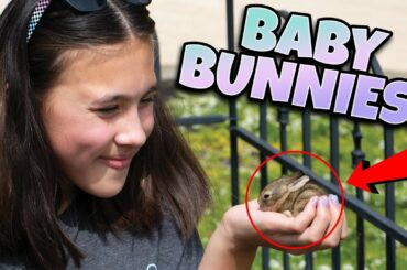 OUR CUTEST VIDEO EVER!!! We Found Baby Bunnies in Our Garden!