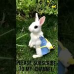 Cute rabbit eating grass. 🐰🐰🐰
