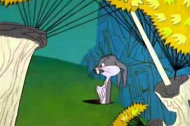 Elmer Fudd - Kill The Rabbit