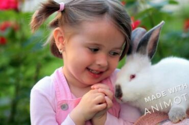 cutest baby rabbit compilation Cute and funny animals videos 720p