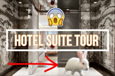 Baby Bunny Gives A Hotel Suite Tour