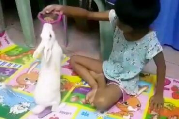 Cute Rabbit Is Jumping To Eat | Baby Rabbit's Video | Cute Animals Video | Kids Fun School