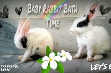 Baby Rabbit Bath Time