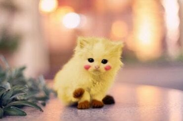 Animals SOOOO Cute! cute baby animals compilation