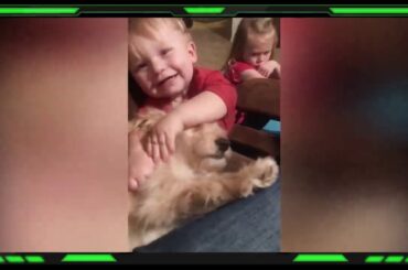 Cute Funnest Playing Baby And Pets || Cute Baby Tube