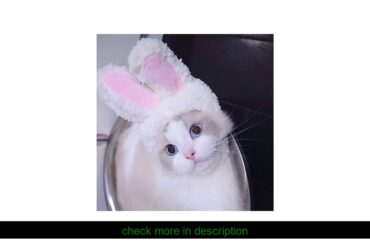 Best  Funny Cute Pet Costume Cosplay Rabbit Hat Cap For Cat Halloween Xmas New Year Clothes Fancy D
