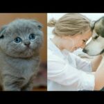 Cute Pets most Interesting Videos Dogs 🐶 , Duck, 🐰 Rabbit And 🐱 Cats Funny Videos Compilation