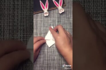 How to make a cute bunny with tissue