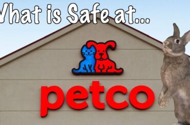 Safe Rabbit Products at Petco!