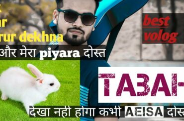 NEW VOLOG ME AND MY FRIEND RABBIT