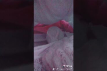 Cute bunny plays under the bed