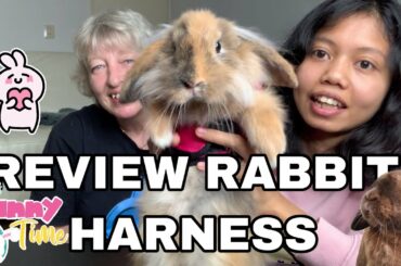 REVIEW RABBIT HARNESS SUPER CUTE AND SOFT | Review tali buat kelinci atau kelinci harness #rabbit