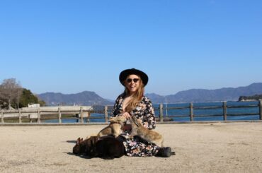 Kyoto and Rabbit Island... Cute Bunnies Everywhere! | Japan Vlog 003