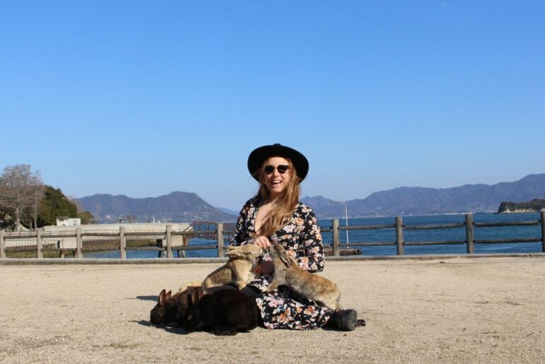 Kyoto and Rabbit Island... Cute Bunnies Everywhere! | Japan Vlog 003