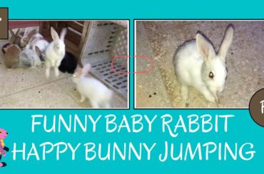 Top Cutest Compilation 2020 - Funny Baby Rabbit - Happy Bunny Jumping - Cute Baby Rabbits