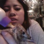 Feeding my baby bunny :)