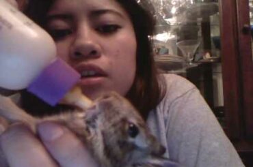 Feeding my baby bunny :)