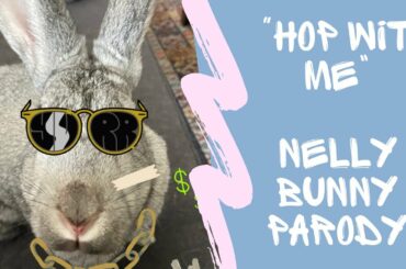HOP WIT ME - Nelly Bunny Parody Song
