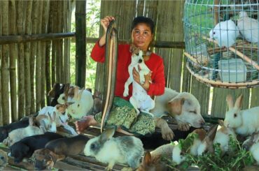 7 rabbit 7 baby dogs | Smart woman cooking eel for baby dogs - Survival Skills