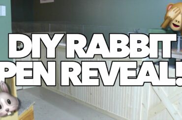 🎉  DIY RABBIT PEN REVEAL!!! 🎉 🐰