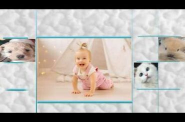 Funny cutest pics choreography: cute babies and pets
