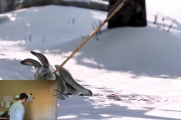 FilthyFrank reaction of cute bunny get shot