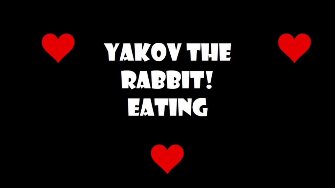 Funny and Cute Bunny Rabbit Videos 🐇 | Rabbit Eating | Yakov the Rabbit | Rabbit Stories Funny and Cute Bunny Rabbit Videos 🐇 | Rabbit Eating | Yakov the Rabbit | Rabbit Stories