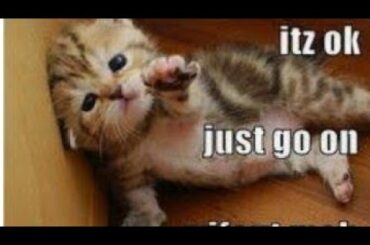 Cute baby animals Videos Compilation cute moment of the animals - Cutest Animals