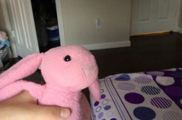 Pinky (The cutest bunny ever!)