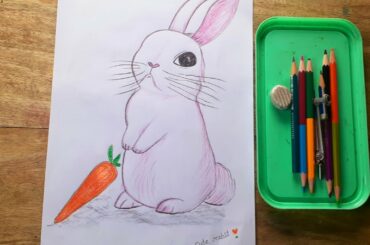Cute rabbit with pencil colours very easy step by step 🐇