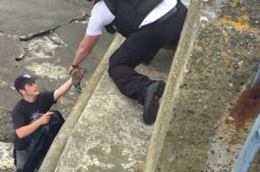 Baby Bunny Rescue in Douglas Harbour 17.06.15