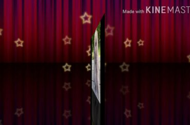 Holland Lop/Cute bunny Compilation