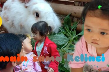 Main sama KELINCI LUCU - ( Cute rabbit ) mengenal hewan